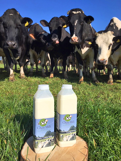 prod-pic-milk-and-cows