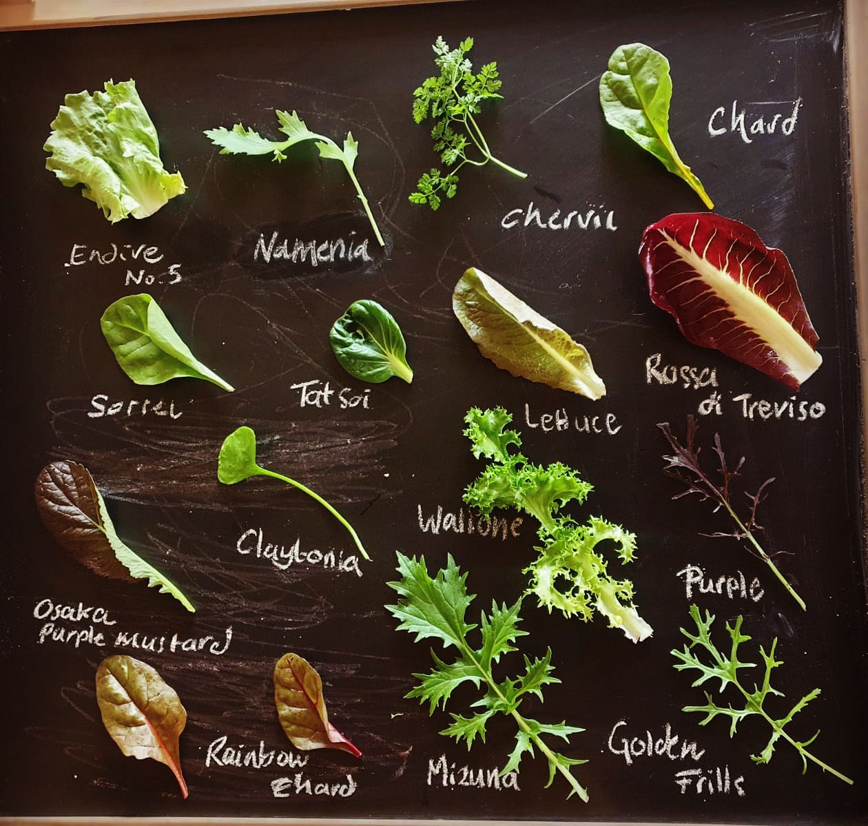 blackboard salad